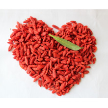 Dried Goji Berries (Dried Wolfberry)